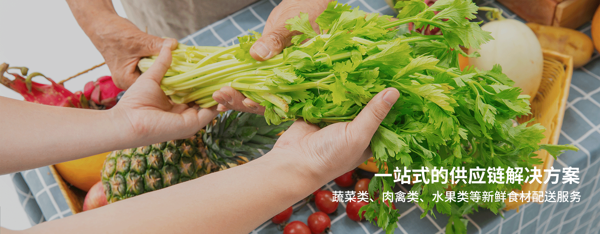 章魚(yú)鮮生（廈門(mén)）食品供應(yīng)鏈有限公司